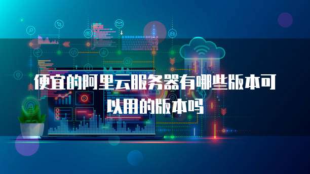 便宜的阿里云服务器有哪些版本可以用的版本吗