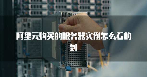 阿里云购买的服务器实例怎么看的到