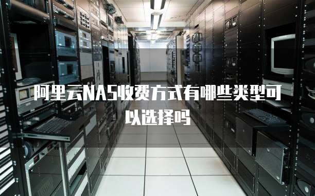 阿里云NAS收费方式有哪些类型可以选择吗