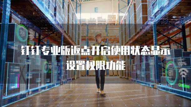 钉钉专业版返点开启使用状态显示设置权限功能