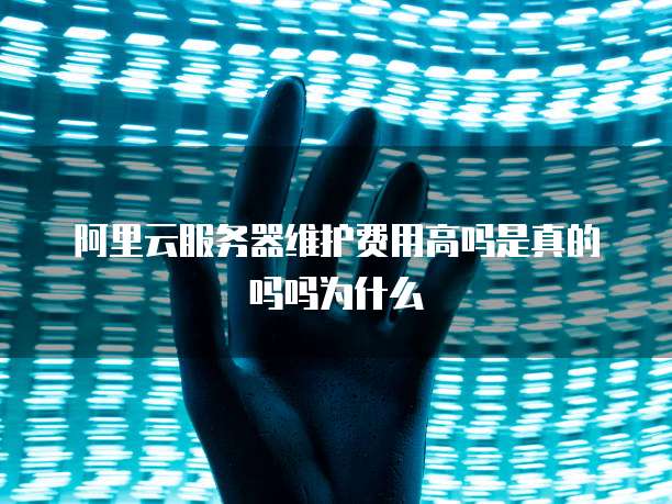 阿里云服务器维护费用高吗是真的吗吗为什么