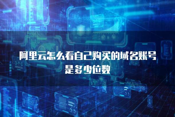 阿里云怎么看自己购买的域名账号是多少位数