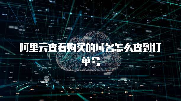 阿里云查看购买的域名怎么查到订单号