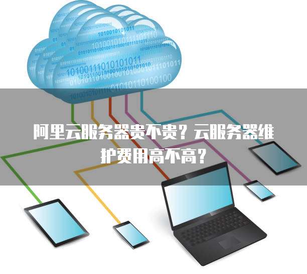 阿里云服务器贵不贵?云服务器维护费用高不高?