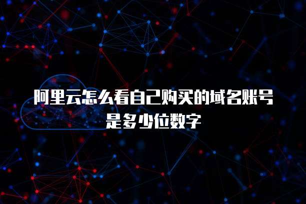 阿里云怎么看自己购买的域名账号是多少位数字