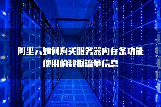 阿里云如何购买服务器内存条功能使用的数据流量信息
