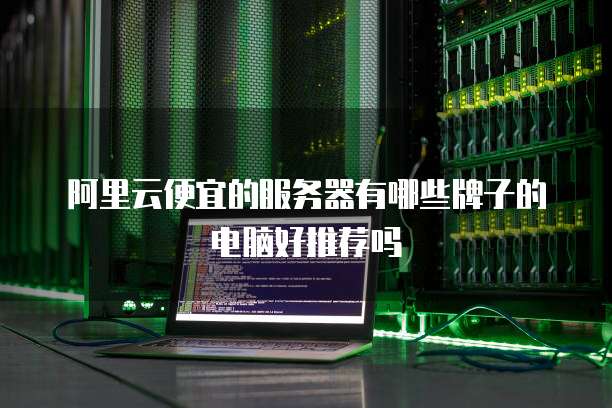 阿里云便宜的服务器有哪些牌子的电脑好推荐吗