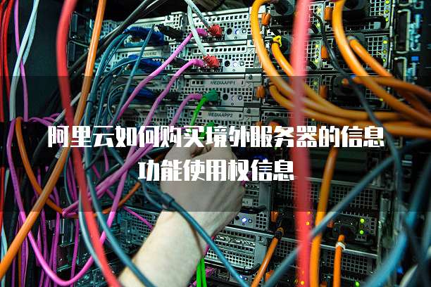 阿里云如何购买境外服务器的信息功能使用权信息