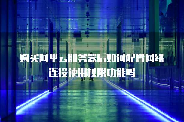购买阿里云服务器后如何配置网络连接使用权限功能吗