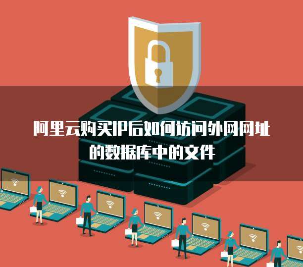 阿里云购买IP后如何访问外网网址的数据库中的文件