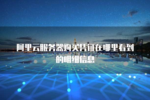 阿里云服务器购买凭证在哪里看到的明细信息