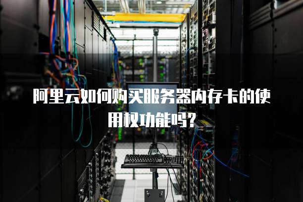 阿里云如何购买服务器内存卡的使用权功能吗?