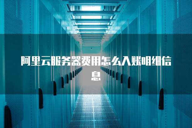 阿里云服务器费用怎么入账明细信息