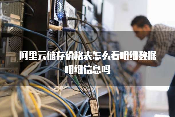 阿里云储存价格表怎么看明细数据明细信息吗
