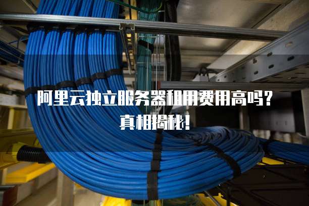 阿里云独立服务器租用费用高吗?真相揭秘!