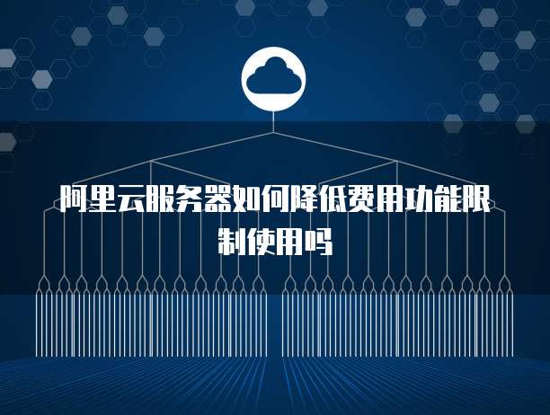 阿里云服务器如何降低费用功能限制使用吗