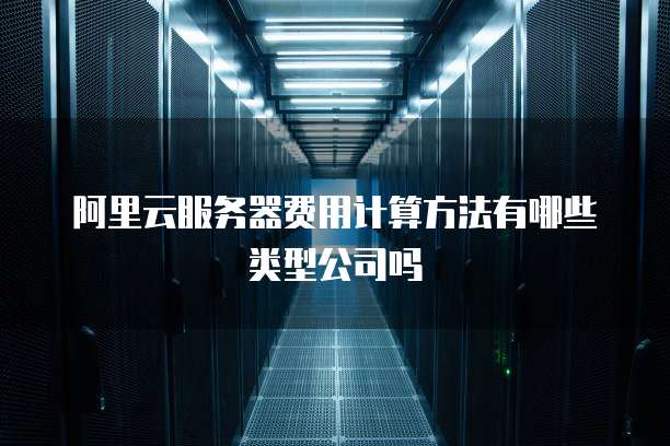 阿里云服务器费用计算方法有哪些类型公司吗