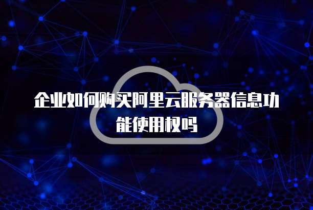 企业如何购买阿里云服务器信息功能使用权吗