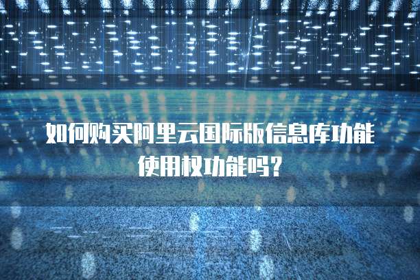 如何购买阿里云国际版信息库功能使用权功能吗?