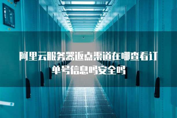 阿里云服务器返点渠道在哪查看订单号信息吗安全吗