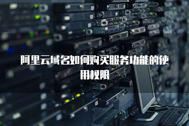 阿里云域名如何购买服务功能的使用权限