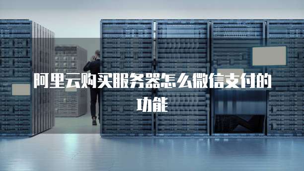 阿里云购买服务器怎么微信支付的功能