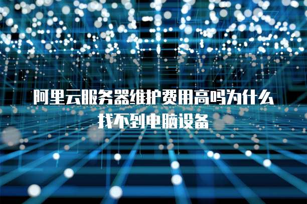 阿里云服务器维护费用高吗为什么找不到电脑设备