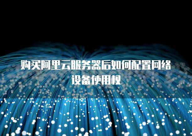 购买阿里云服务器后如何配置网络设备使用权