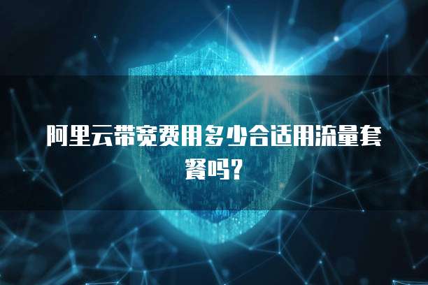 阿里云带宽费用多少合适用流量套餐吗？
