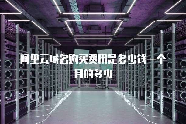 阿里云域名购买费用是多少钱一个月的多少