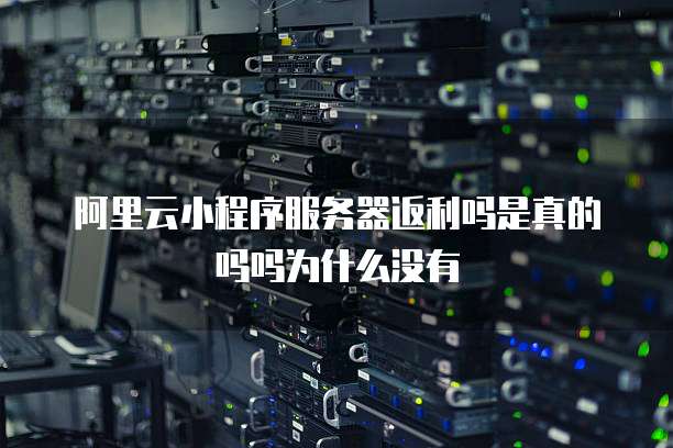阿里云小程序服务器返利吗是真的吗吗为什么没有