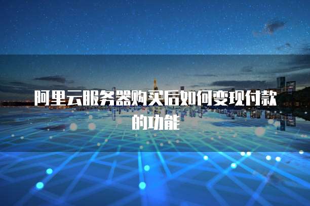 阿里云服务器购买后如何变现付款的功能