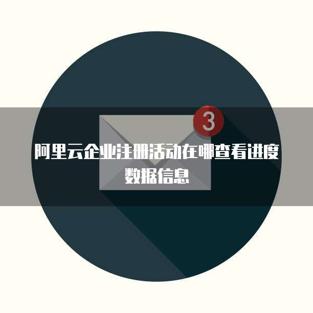 阿里云企业注册活动在哪查看进度数据信息