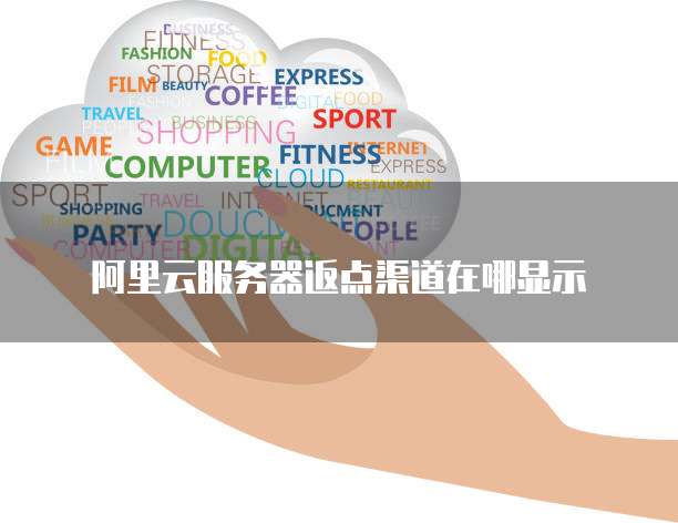 阿里云服务器返点渠道在哪显示