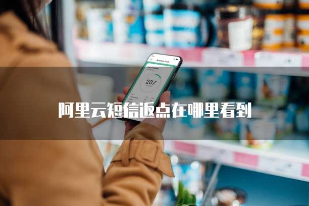 阿里云短信返点在哪里看到