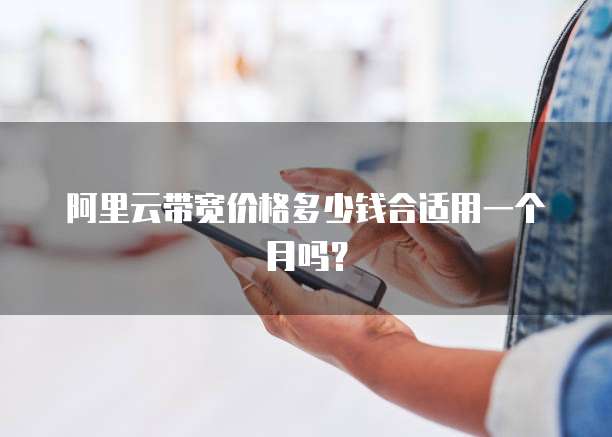 阿里云带宽价格多少钱合适用一个月吗？