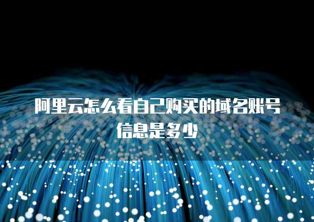 阿里云怎么看自己购买的域名账号信息是多少