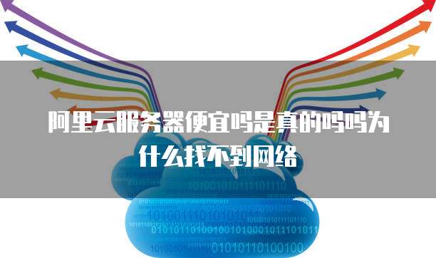阿里云服务器便宜吗是真的吗吗为什么找不到网络