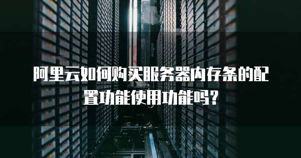 阿里云如何购买服务器内存条的配置功能使用功能吗?