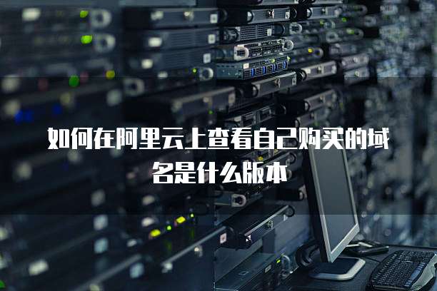 如何在阿里云上查看自己购买的域名是什么版本