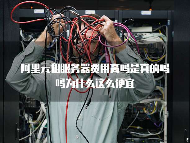 阿里云租服务器费用高吗是真的吗吗为什么这么便宜