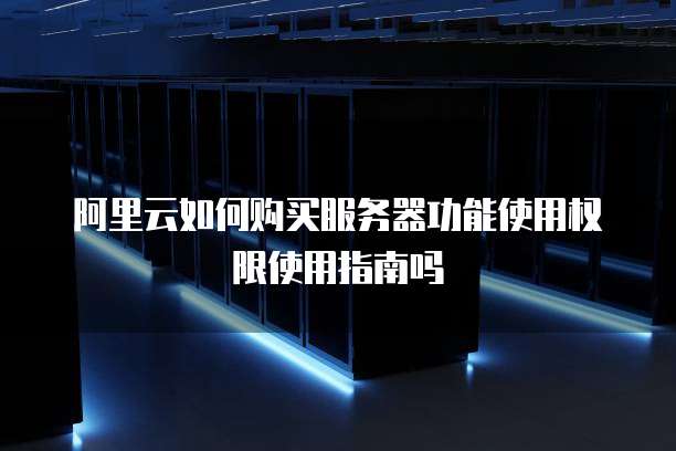 阿里云如何购买服务器功能使用权限使用指南吗