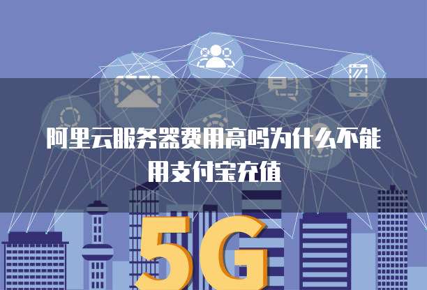 阿里云服务器费用高吗为什么不能用支付宝充值