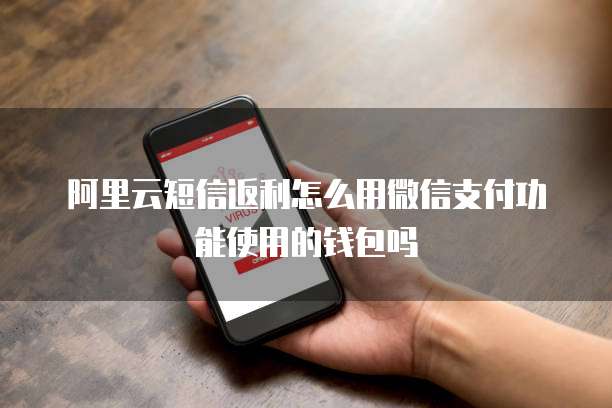 阿里云短信返利怎么用微信支付功能使用的钱包吗
