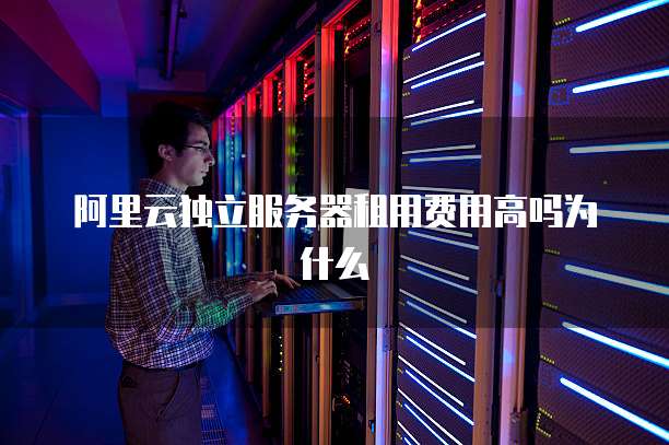 阿里云独立服务器租用费用高吗为什么