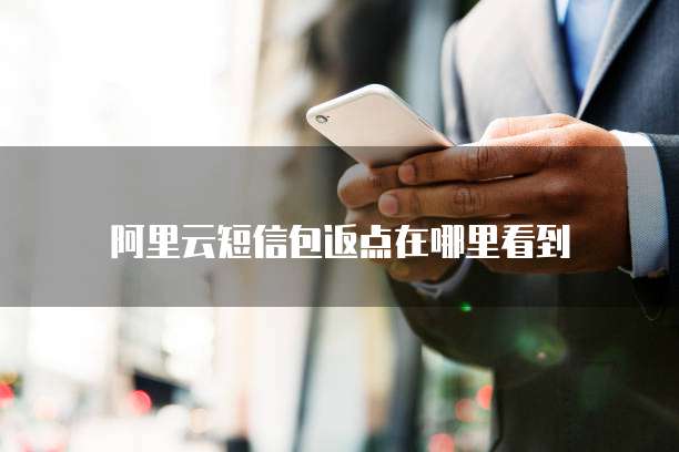 阿里云短信包返点在哪里看到