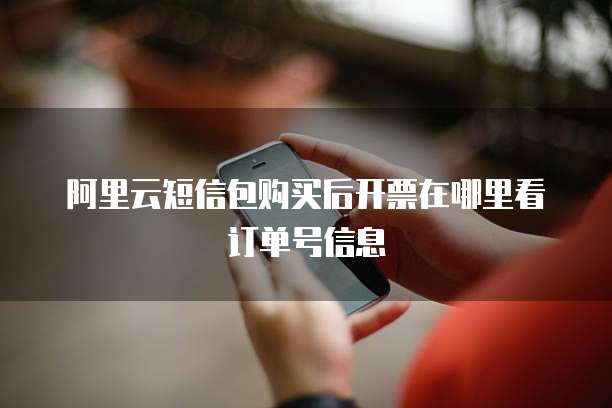 阿里云短信包购买后开票在哪里看订单号信息