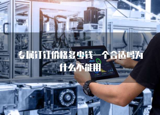 专属钉钉价格多少钱一个合适吗为什么不能用