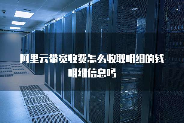 阿里云带宽收费怎么收取明细的钱明细信息吗