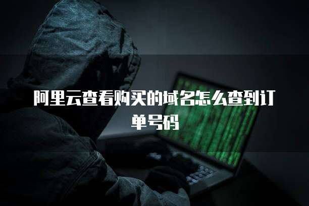 阿里云查看购买的域名怎么查到订单号码